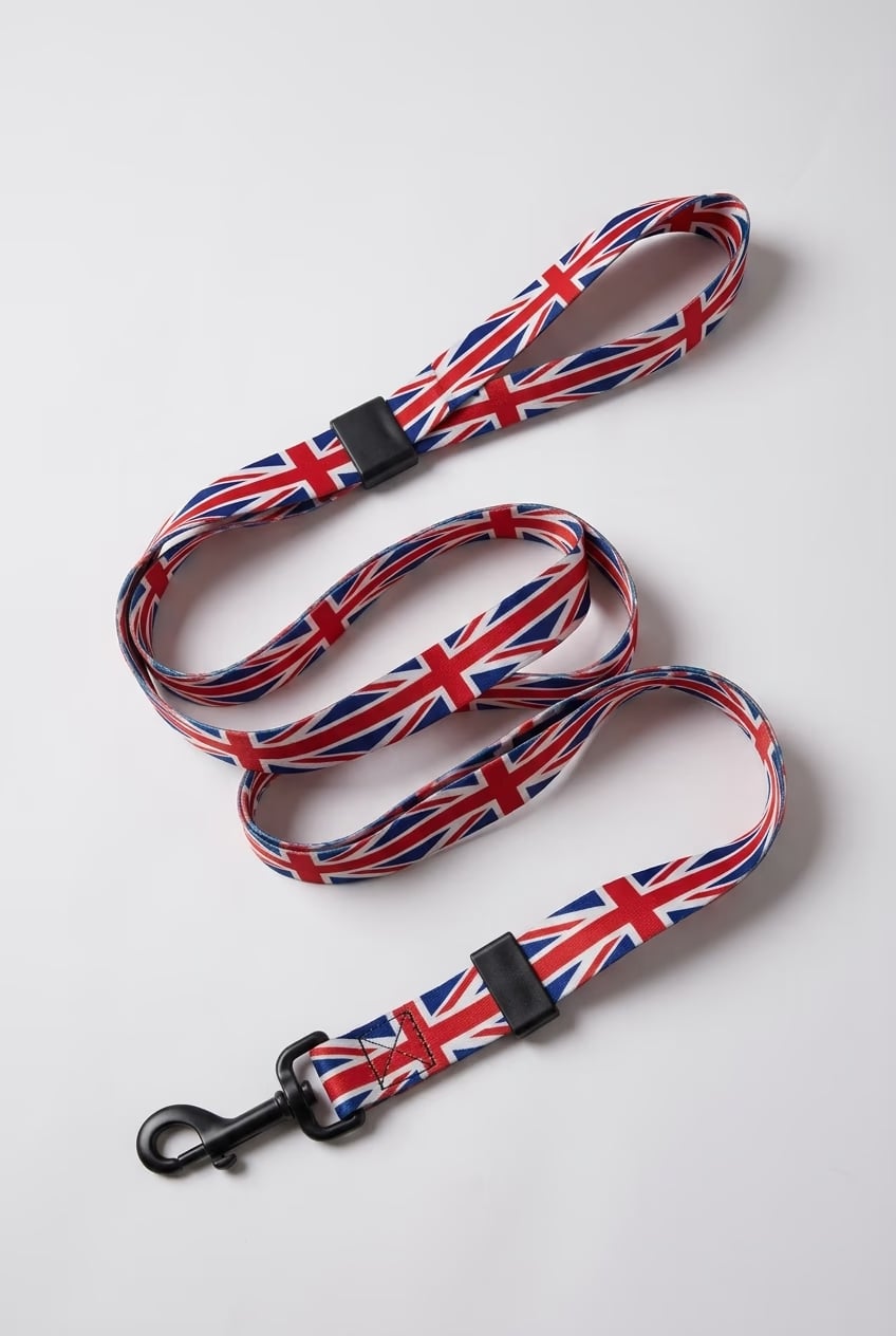 [amu-auto] england/leash/shot-1
