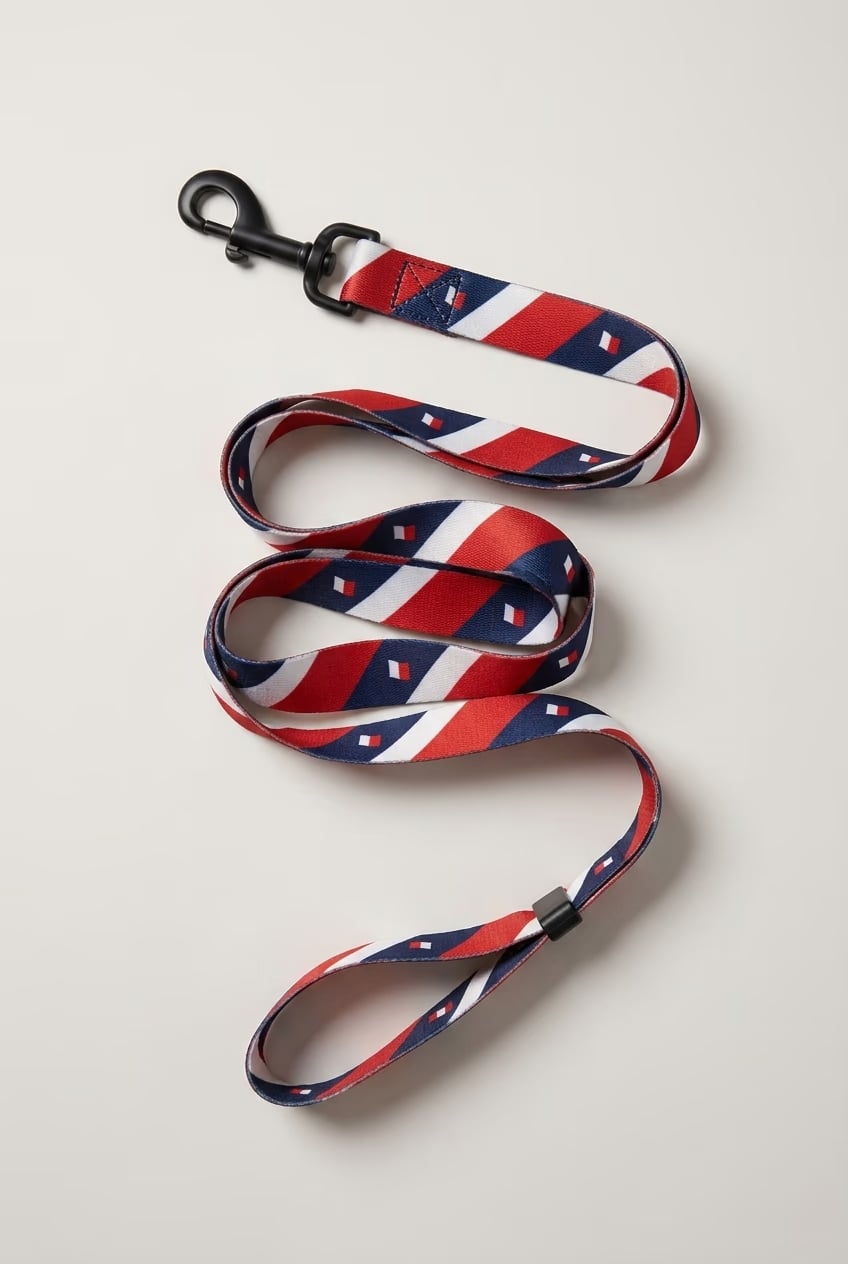 [amu-auto] france/leash/shot-1