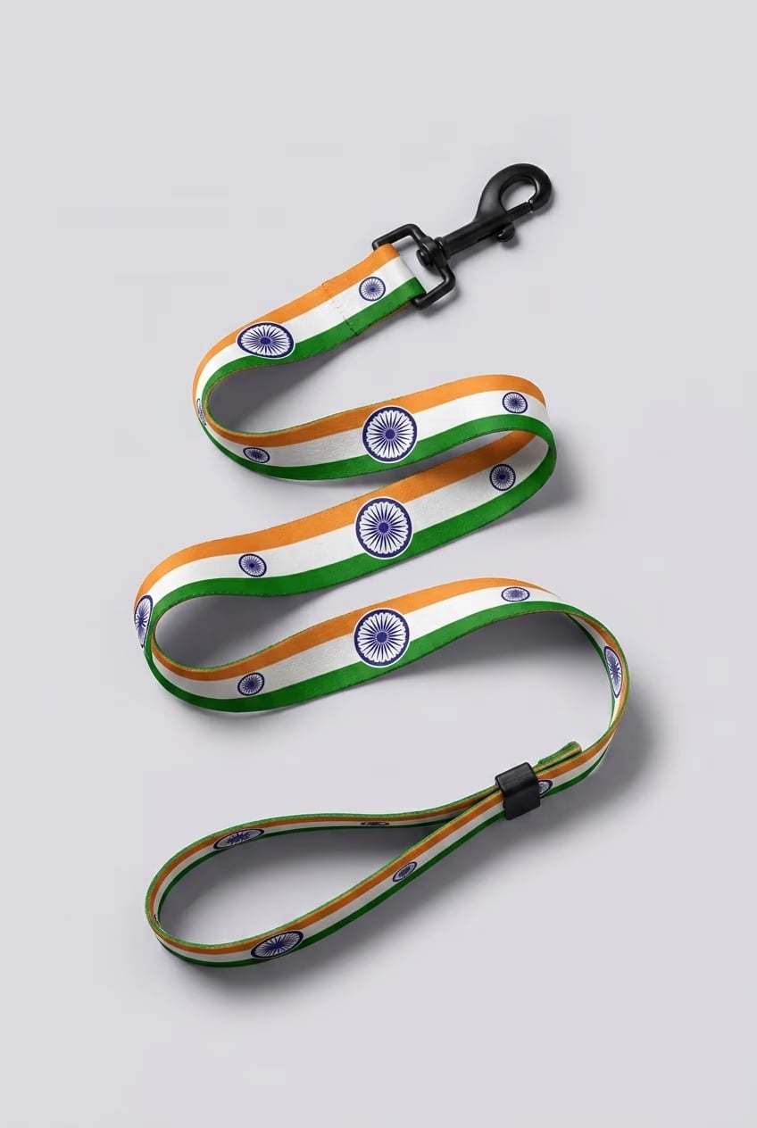 [amu-auto] india/leash/shot-1