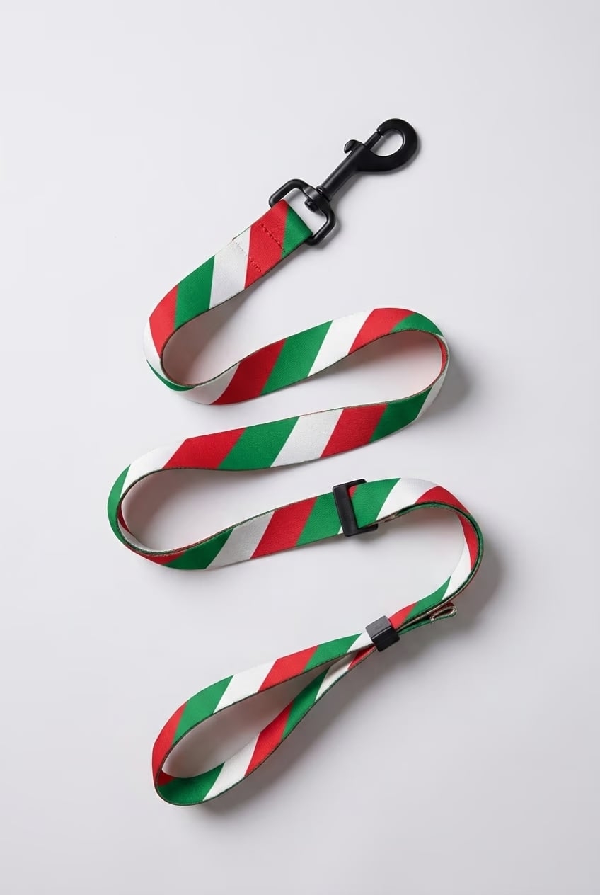 [amu-auto] italy/leash/shot-1