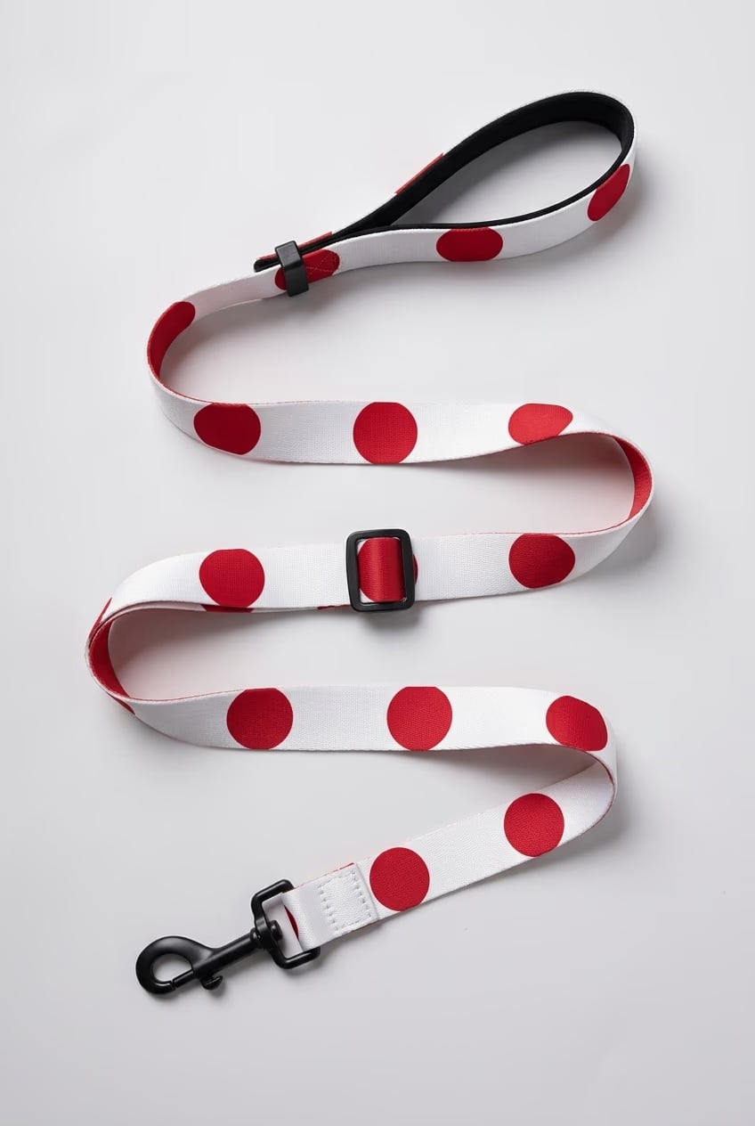 [amu-auto] japan/leash/shot-1
