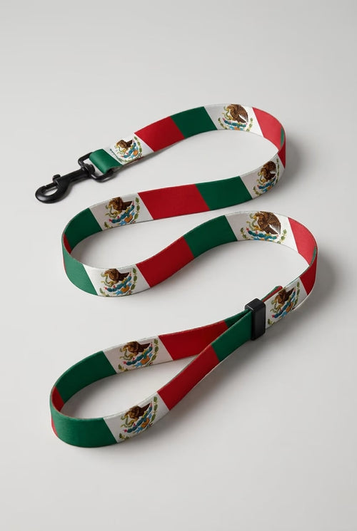 [amu-auto] mexico/leash/shot-1