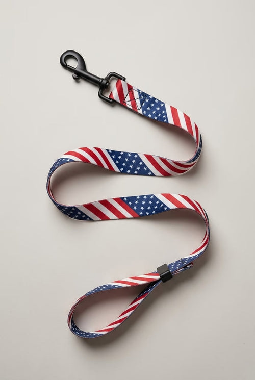 [amu-auto] usa/leash/shot-1